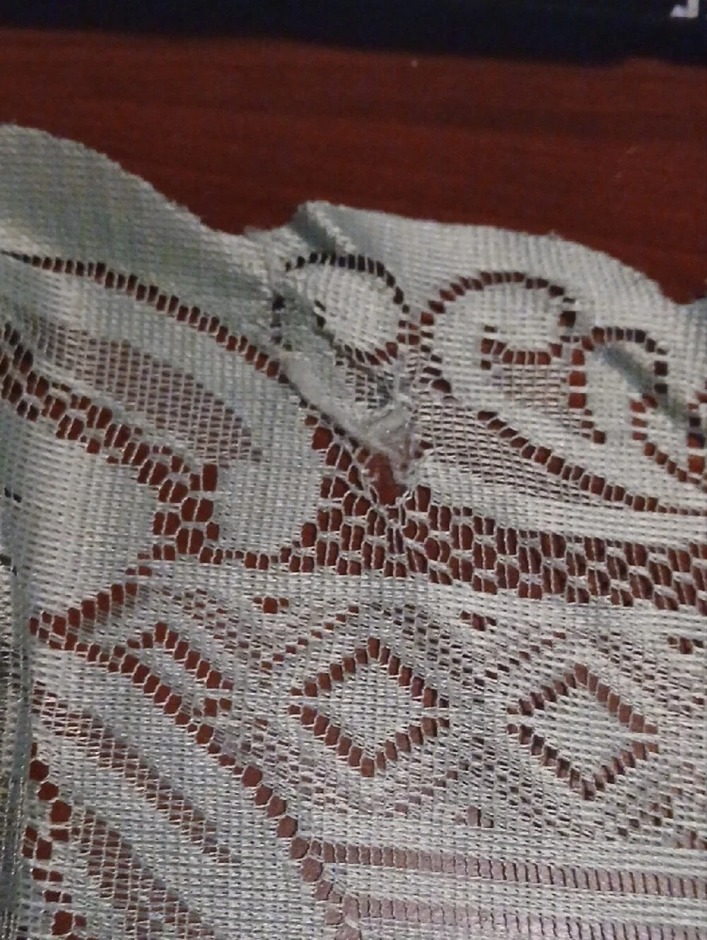 Source Unknown Sage Green Lace Pattern Curtain Panels
